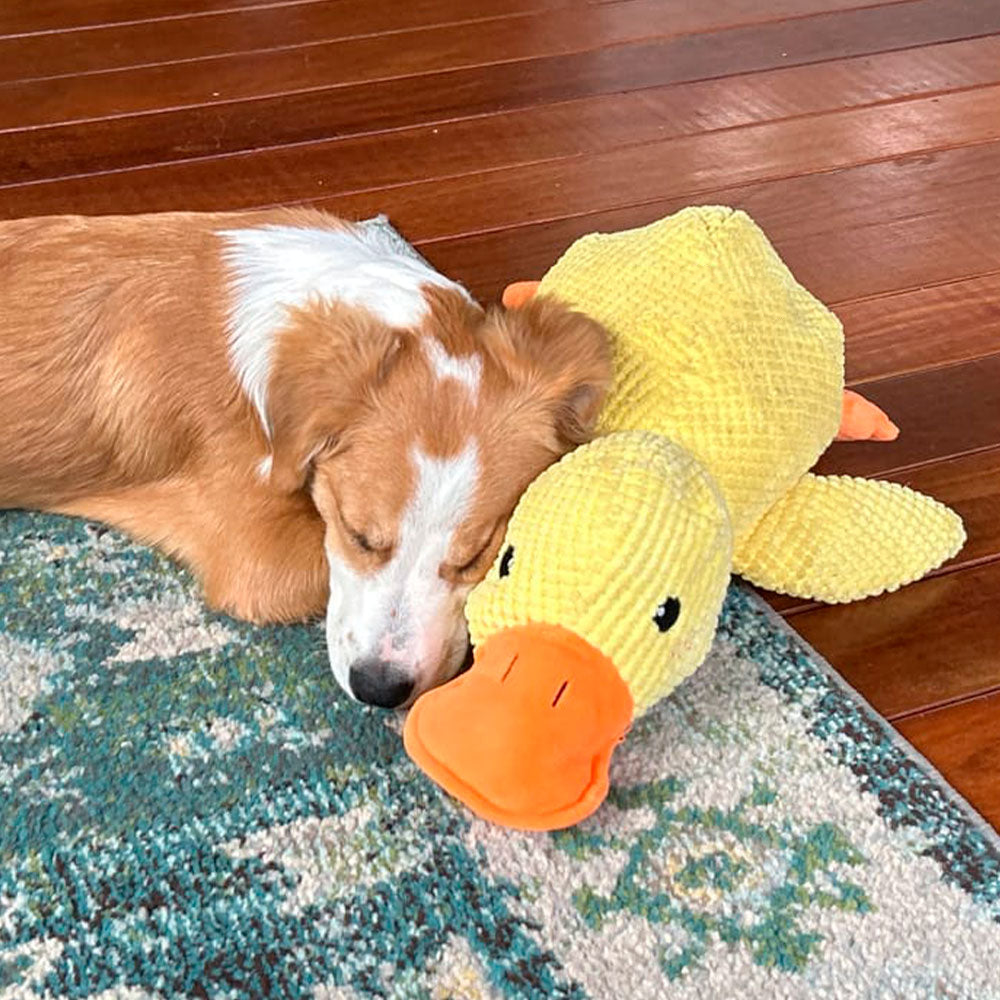 🦆Best Pet Supplies Crinkle Duck Plush🦁