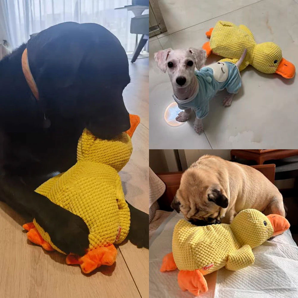 🦆Best Pet Supplies Crinkle Duck Plush🦁