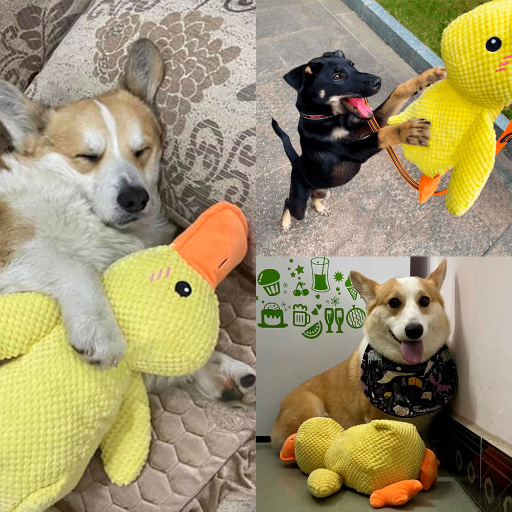 🦆Best Pet Supplies Crinkle Duck Plush🦁