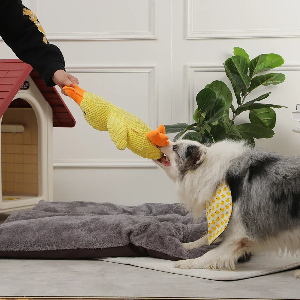 🦆Best Pet Supplies Crinkle Duck Plush🦁