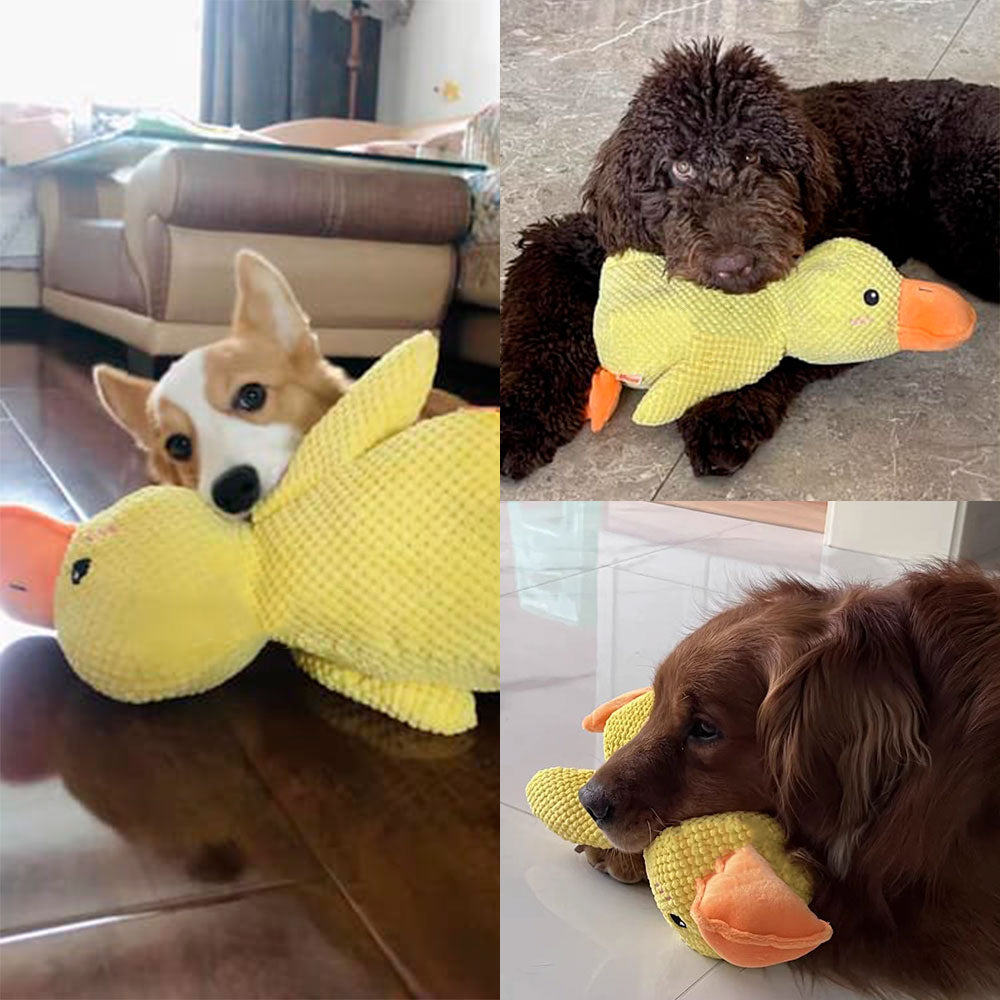 🦆Best Pet Supplies Crinkle Duck Plush🦁