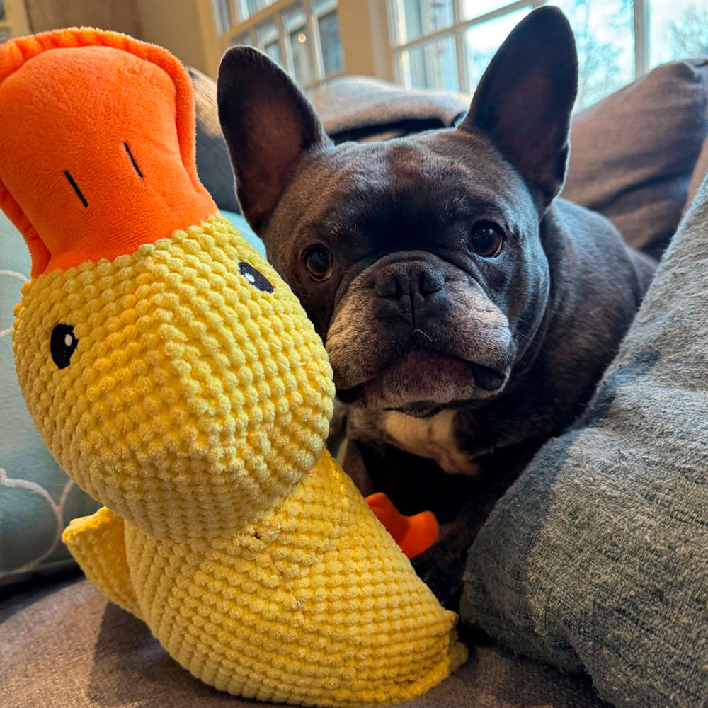 🦆Best Pet Supplies Crinkle Duck Plush🦁