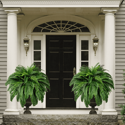 UV Resistant Lifelike Artificial Boston Fern🍀