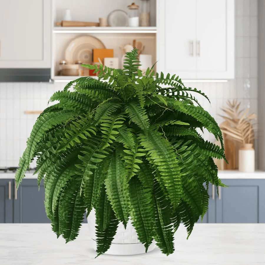 UV Resistant Lifelike Artificial Boston Fern🍀