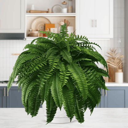 UV Resistant Lifelike Artificial Boston Fern🍀