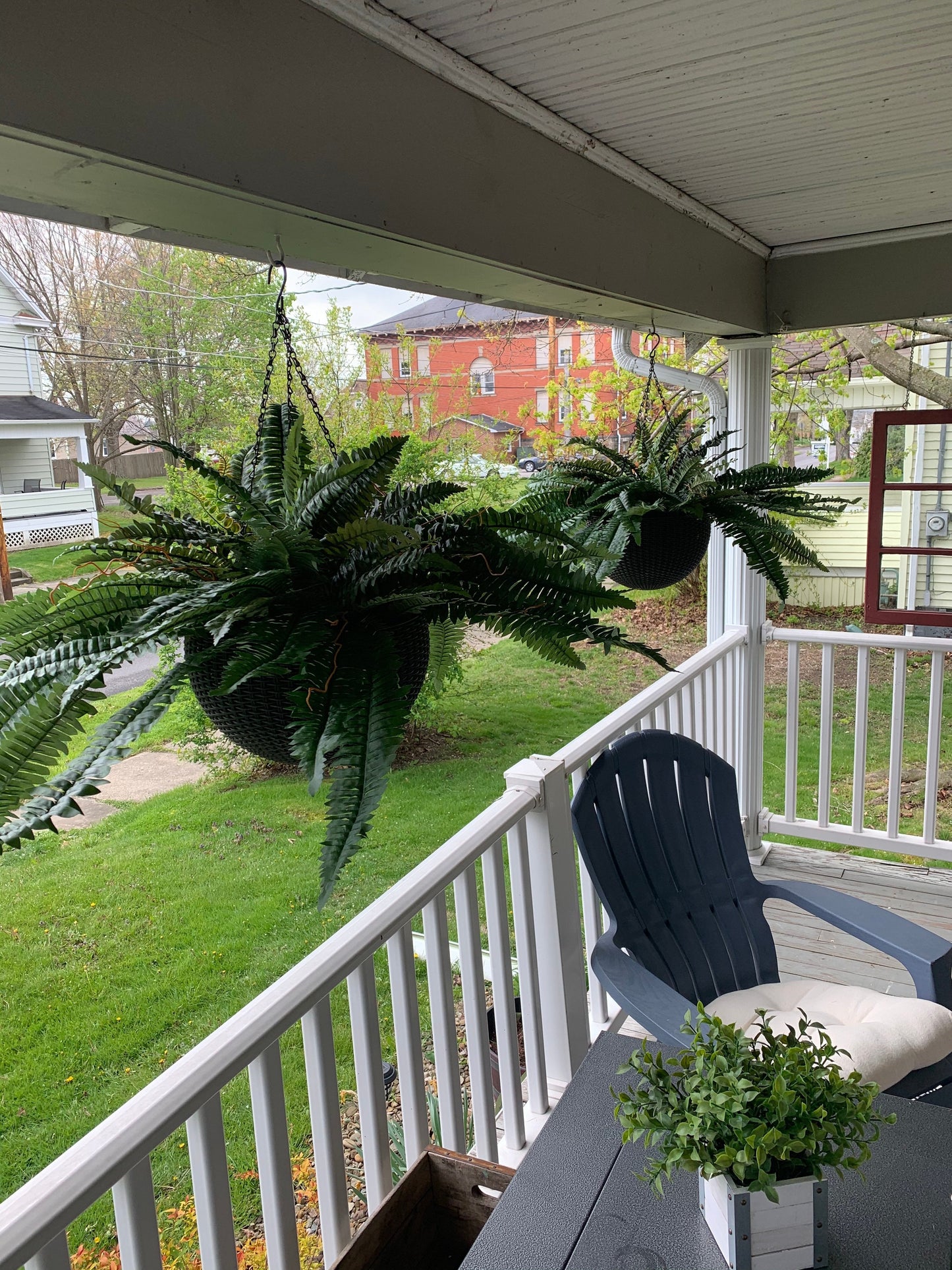 UV Resistant Lifelike Artificial Boston Fern🍀