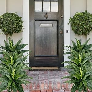 UV Resistant Lifelike Artificial Boston Fern🍀