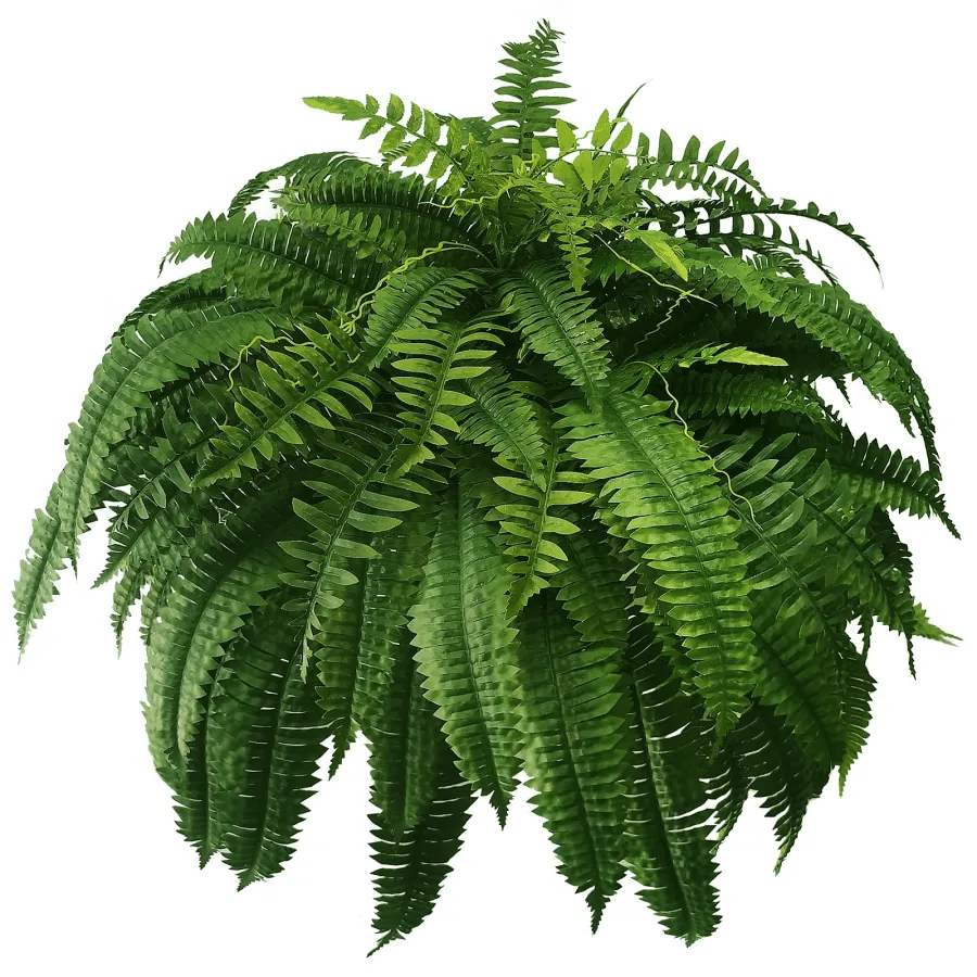 UV Resistant Lifelike Artificial Boston Fern🍀